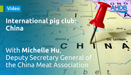 International pig club: China
